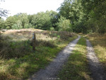grafheuvel
